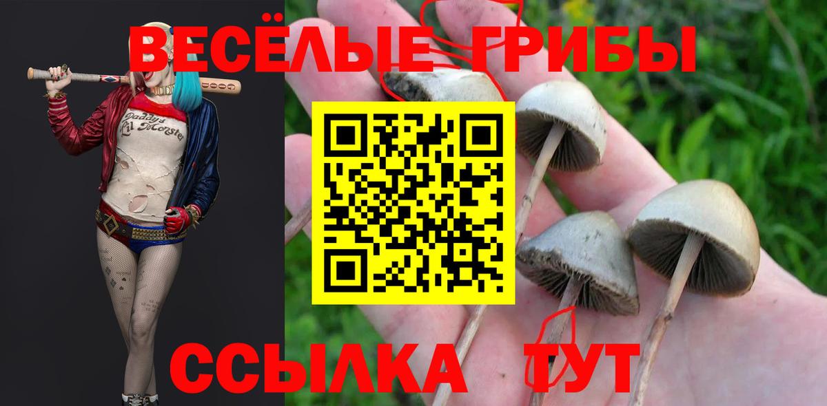 Галлюциногенные грибы GOLDEN TEACHER Тимашёвск